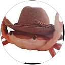 Lautaro Arce profile picture