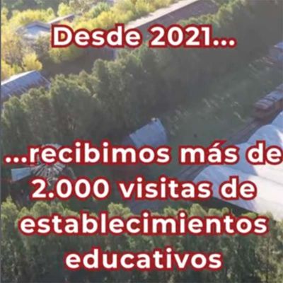 Instagram-12-29-2025_03_00_PM