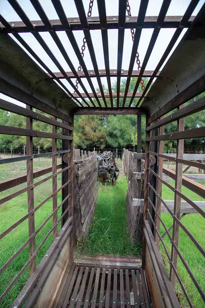 recorrido-6-banador-de-hacienda-05